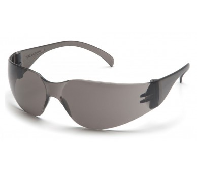 Votrelec ES4120S, ochranné okuliare, sivý