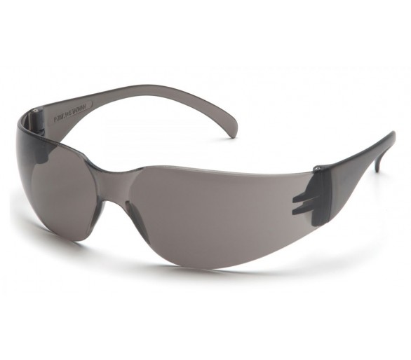 Intruder ES4120S, gafas de seguridad, gris
