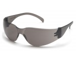 Intruder ES4120S, goggles, gray
