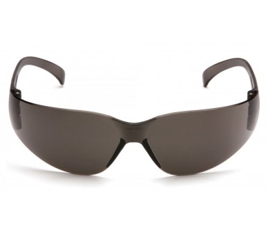 Intruder ES4120S, Schutzbrille, grau