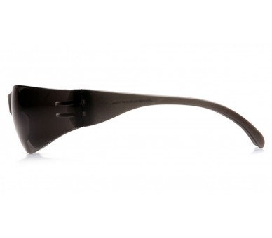 Intruder ES4120S, lunettes de sécurité, gris