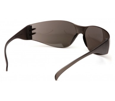 Intruder ES4120S, gafas de seguridad, gris